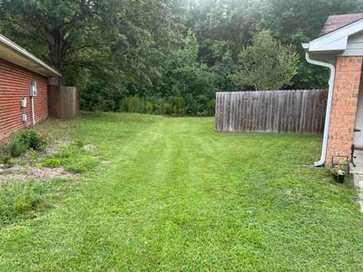 Lawn Care service in Leicester, 28748