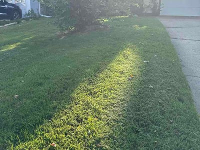 Lawn Care service in Vail, 85641