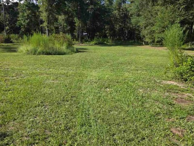 Lawn Care service in Sebring, 33870