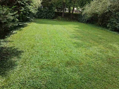 Lawn Care service in Clarks Summit, 18411