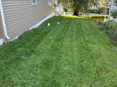 Lawn Care service in Clarks Summit, 18411