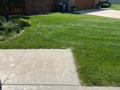 Lawn Care service in Grain Valley, 64029
