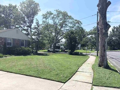 Lawn Care service in Voorhees, 08043