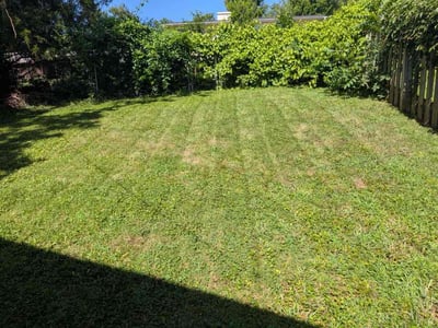 Lawn Care service in Grain Valley, 64029