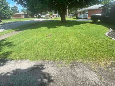 Lawn Care service in Jeffersontown, 40299