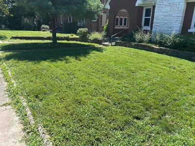 Lawn Care service in Altoona, 16601