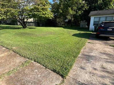 Lawn Care service in Huntsville, 35801