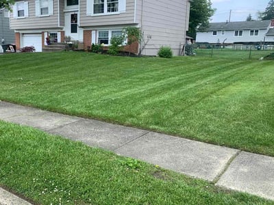 Lawn Care service in Medford, 08055