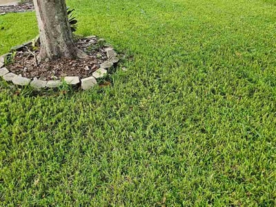 Lawn Care service in Homestead, 33030