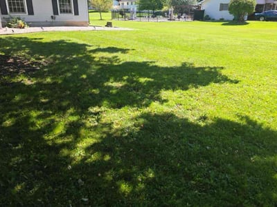 Lawn Care service in Pittsford, 14534
