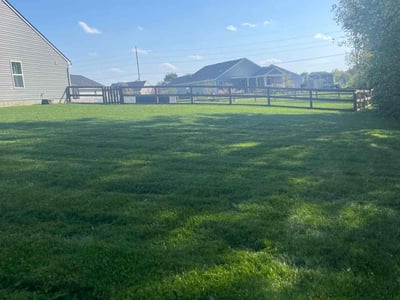 Lawn Care service in Beckley, 25813