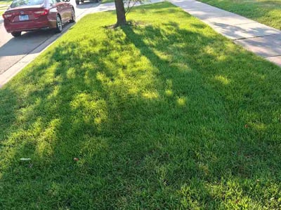 Lawn Care service in Lake In The Hills, 60156