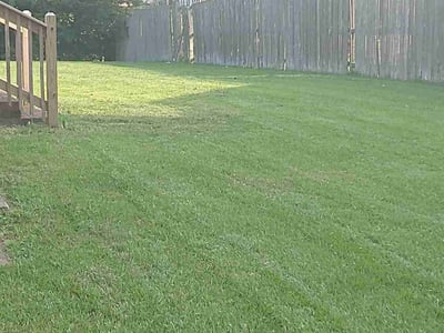 Lawn Care service in London, 40741