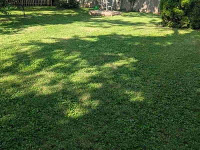Lawn Care service in Beckley, 25813