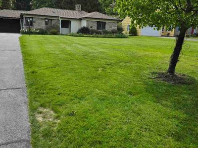 Lawn Care service in Pittsford, 14534