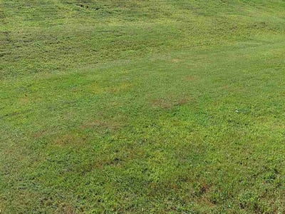 Lawn Care service in Marion, 72364