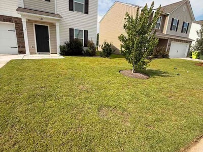 Lawn Care service in Chapin, 29036
