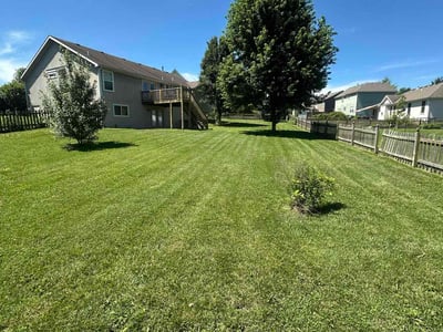 Lawn Care service in Napa, 94559