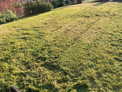 Lawn Care service in West Covina, 91790