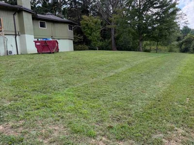 Lawn Care service in Waynesville, 28786