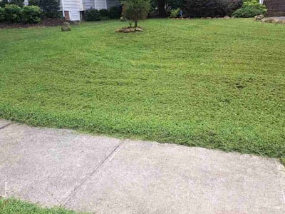 Lawn Care service in Siler City, 27344