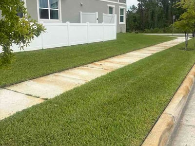 Lawn Care service in Burlington, 01803