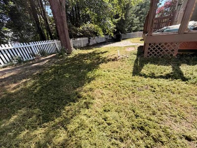 Lawn Care service in Siler City, 27344
