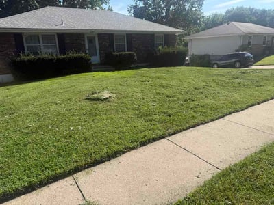 Lawn Care service in Paola, 66071