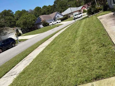 Lawn Care service in North Miami Beach, 33162