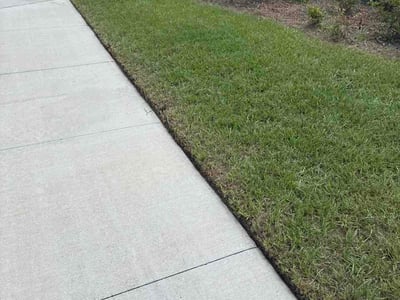 Lawn Care service in North Miami Beach, 33162