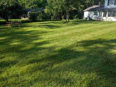 Lawn Care service in Irwin, 15642