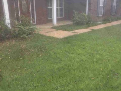 Lawn Care service in Olive Branch, 38654