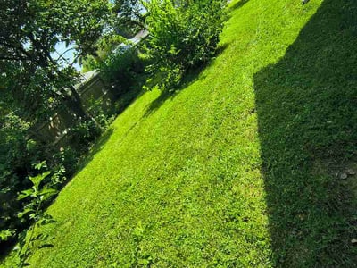 Lawn Care service in Irwin, 15642