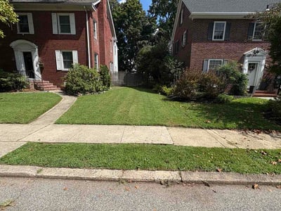 Lawn Care service in Gloucester City, 08030
