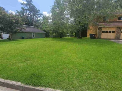 Lawn Care service in College Park, 30337