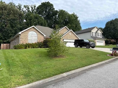 Lawn Care service in Fort Mill, 29715