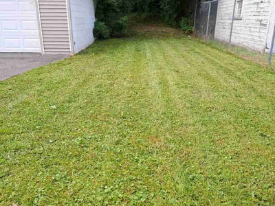 Lawn Care service in Cicero, 13039
