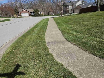 Lawn Care service in Marion County, 46208