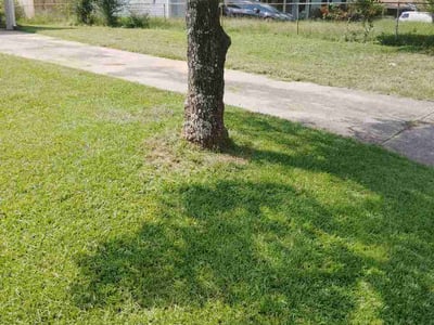 Lawn Care service in College Park, 30337