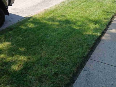 Lawn Care service in ,