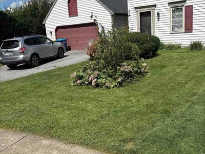 Lawn Care service in Denver, 17517