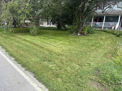 Lawn Care service in Denver, 17517