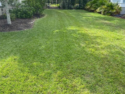 Lawn Care service in Mount Pleasant, 29464