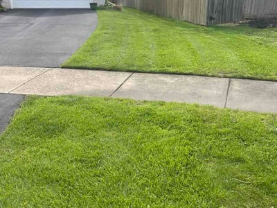 Lawn Care service in Lombard, 60148
