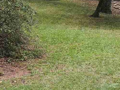 Lawn Care service in Birmingham, 35203
