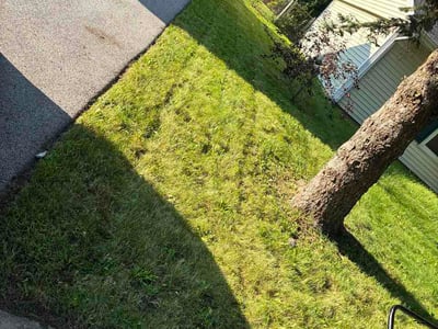 Lawn Care service in Lombard, 60148