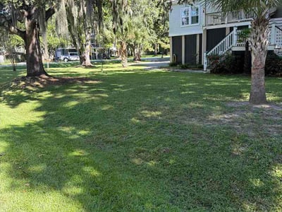Lawn Care service in Mount Pleasant, 29464