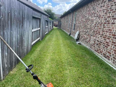 Lawn Care service in Mission, 78572