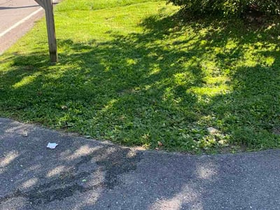 Lawn Care service in Hellertown, 18055