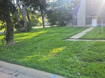 Lawn Care service in Zion, 60099